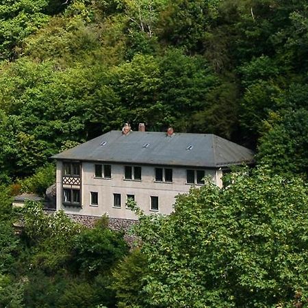 Haus Am Berg Villa Bad Bertrich Eksteriør billede